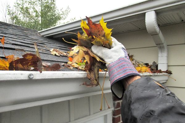 Cost of Eaves Cleaning in Reston